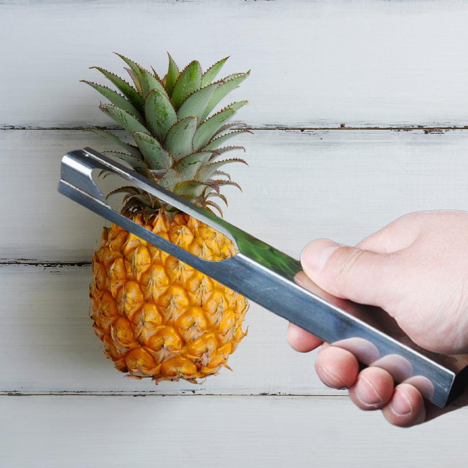 Pineapple Eye Peeler Remover P - Kitchen Gadgets Store ulasan dan harga